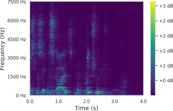 Spectrum 8